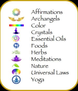 image web 1